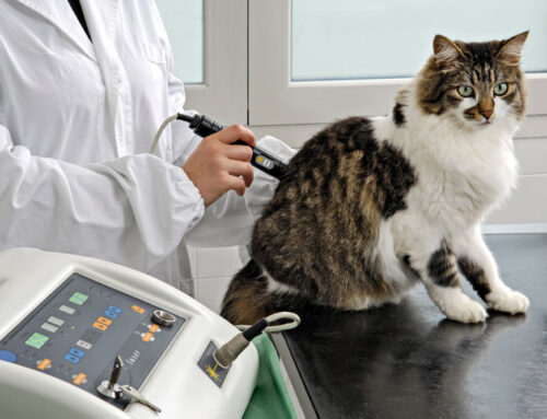 Benefits of Laser and Acupuncture